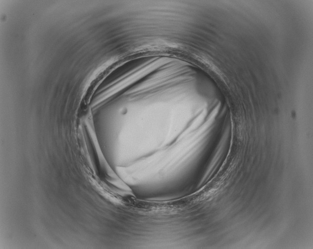 X0000069821026200606091416