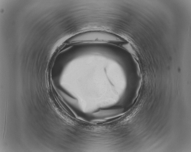 X0000069821030200606091416