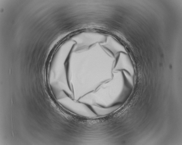 X0000069821032200606091416