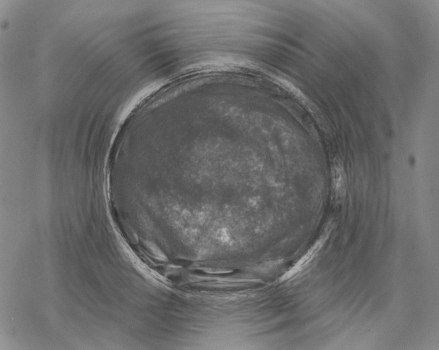 X0000069821034200606091416
