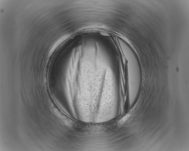 X0000069821042200606091416