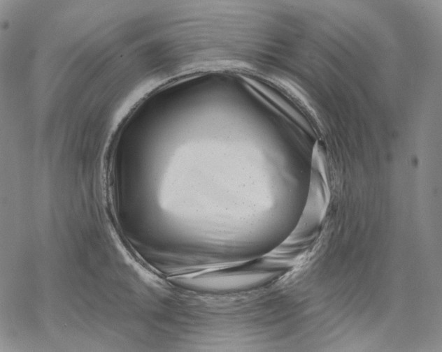 X0000069821046200606091416