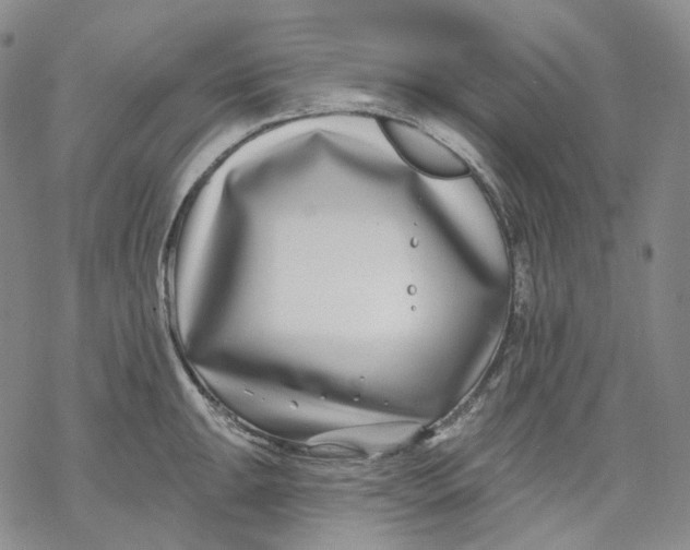X0000069821047200606091416
