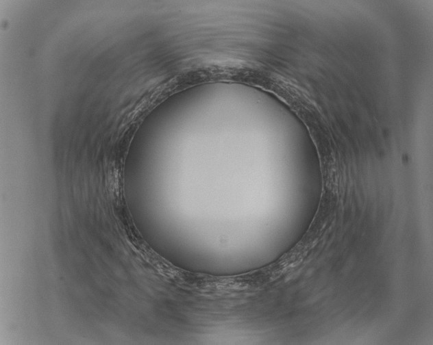 X0000069821061200606091415