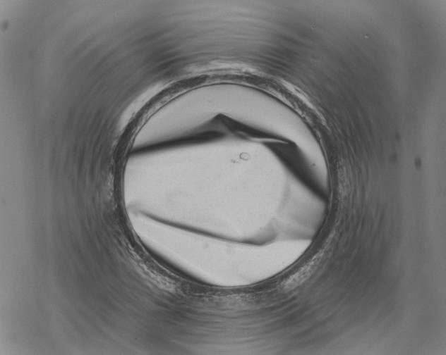 X0000069821066200606091415