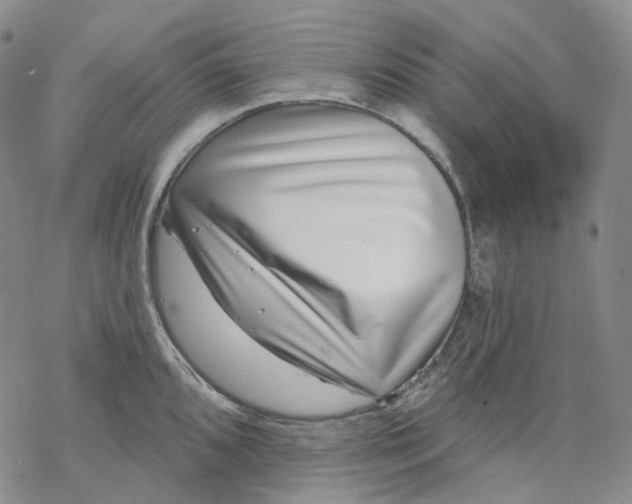 X0000069821096200606091415
