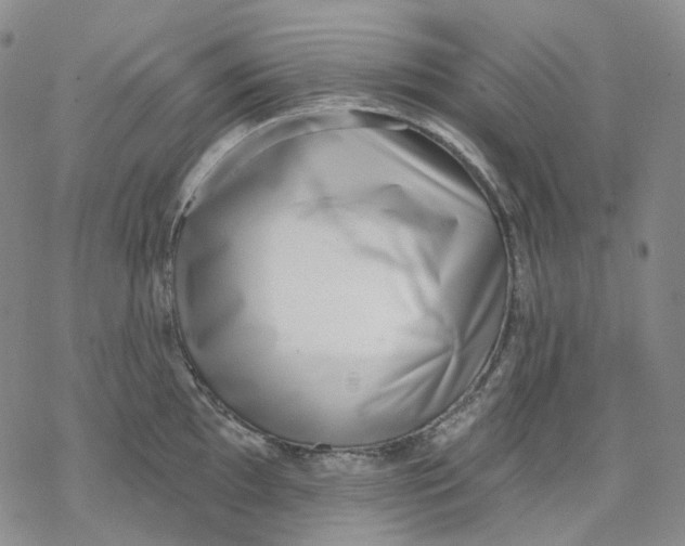 X0000069821097200606091415