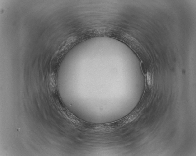 X0000069821107200606091414