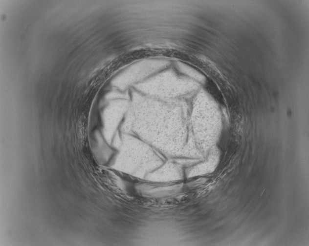 X0000069821110200606091414