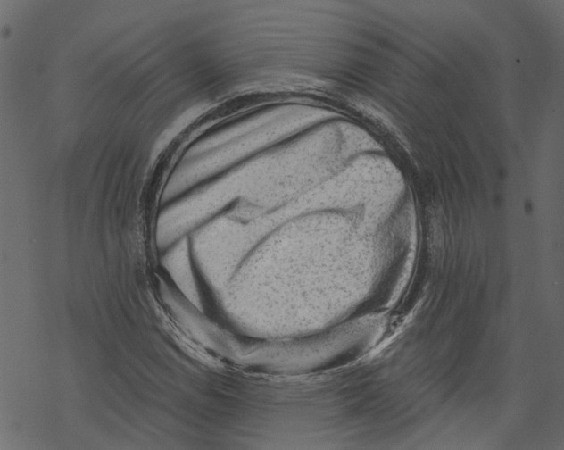 X0000069821114200606091414