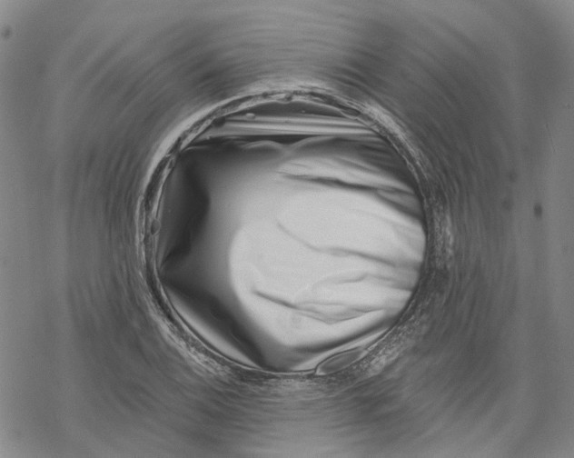 X0000069821124200606091414