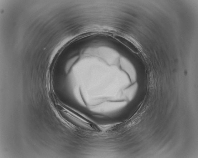 X0000069821128200606091414