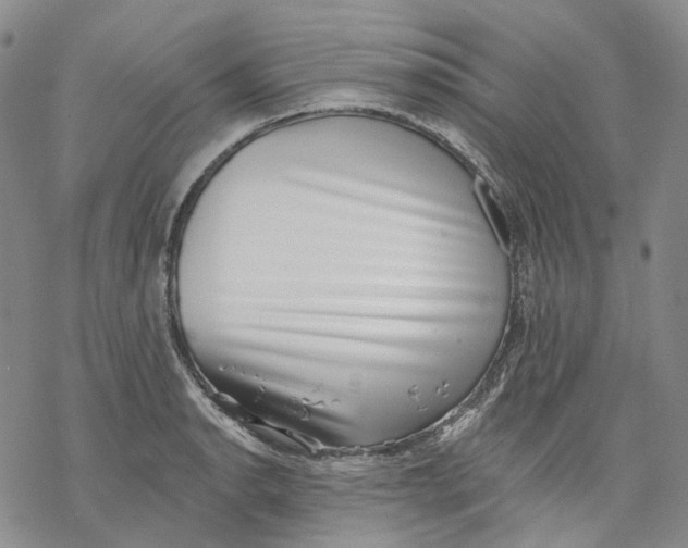 X0000069821134200606091414
