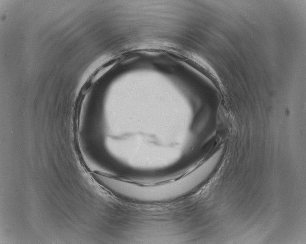 X0000069821138200606091414