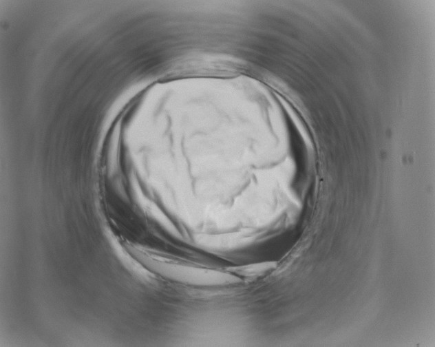 X0000069821152200606091414