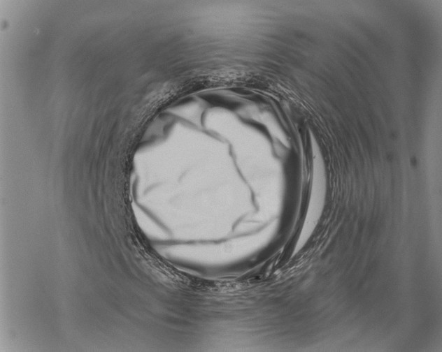 X0000069821153200606091414