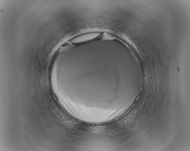 X0000069821173200606091413