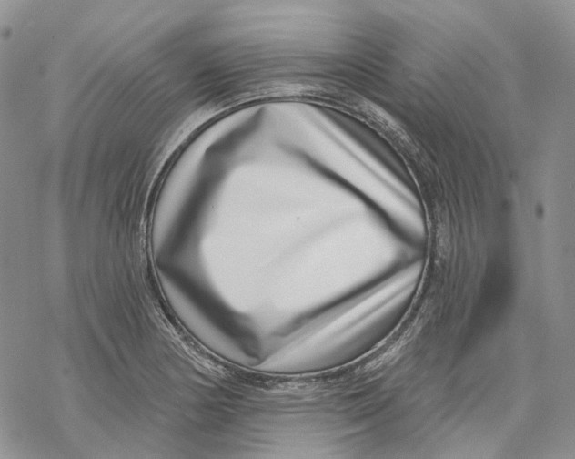 X0000069821178200606091413