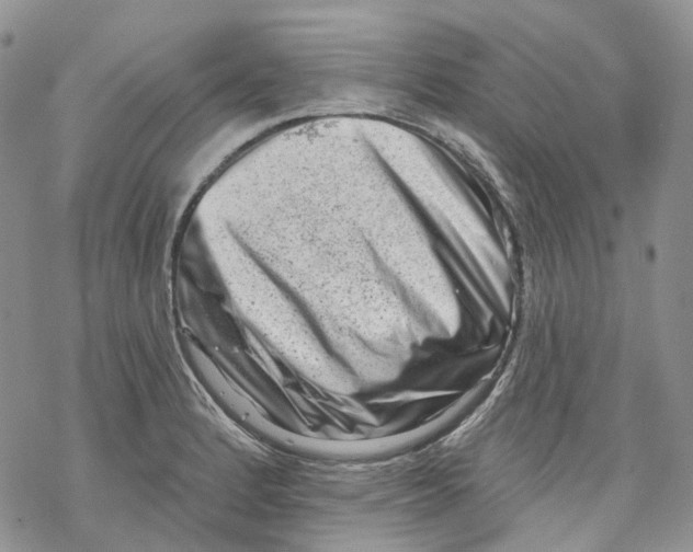 X0000069821184200606091413