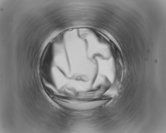 X0000069821197200606091413
