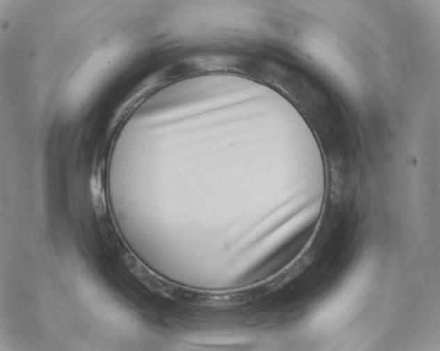 X0000069821198200606091413