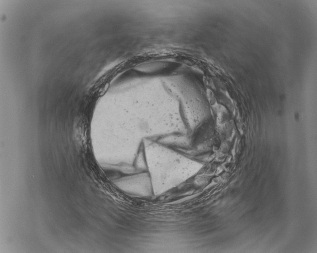 X0000069821206200606091412