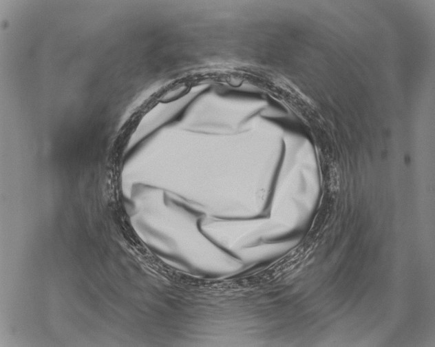 X0000069821208200606091412