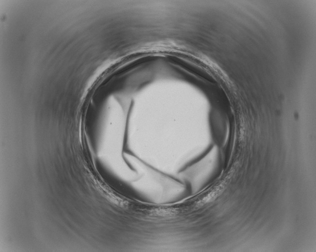 X0000069821224200606091412