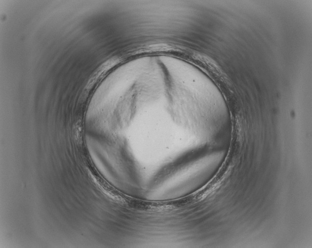 X0000069821225200606091413