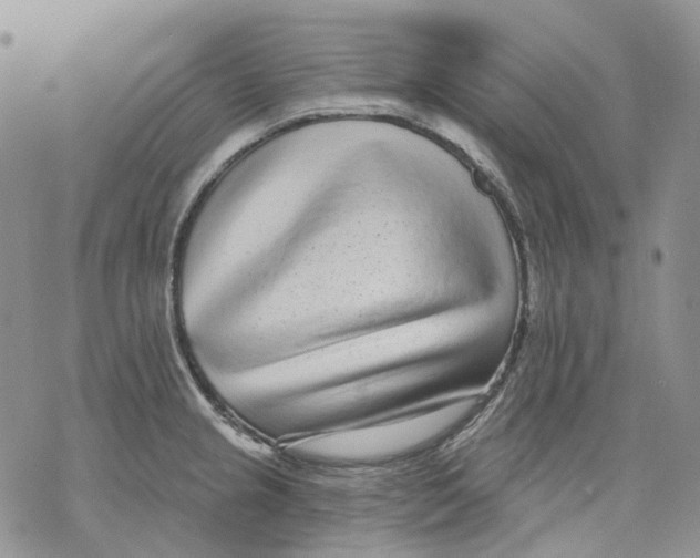 X0000069821237200606091413