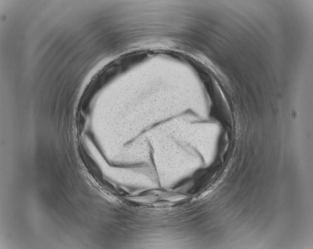 X0000069821240200606091413