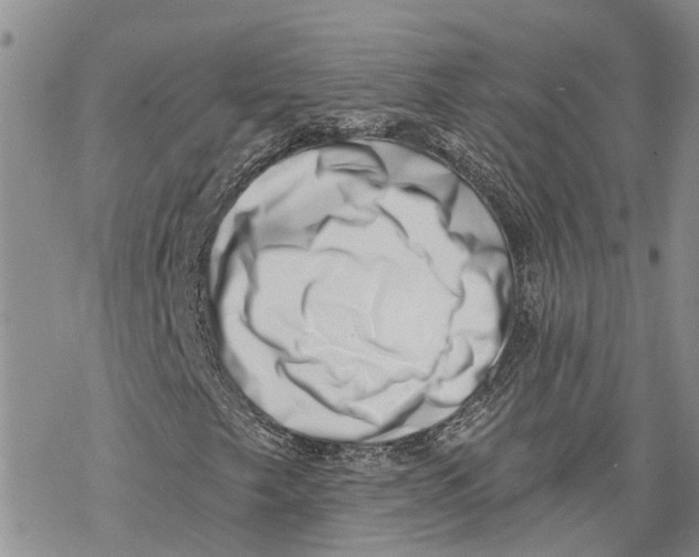 X0000069821249200606091412