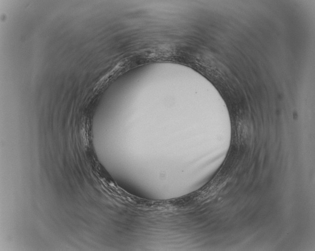 X0000069821250200606091412