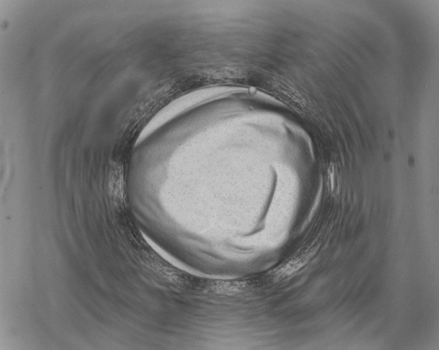 X0000069821251200606091412