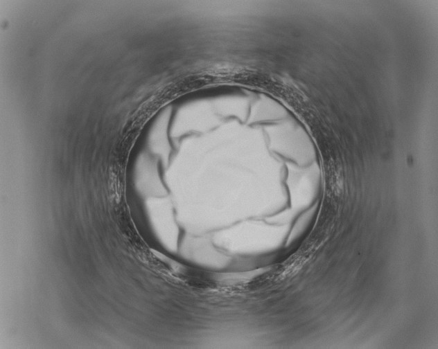 X0000069821253200606091412
