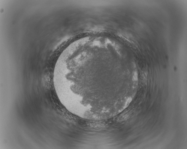 X0000069821254200606091412