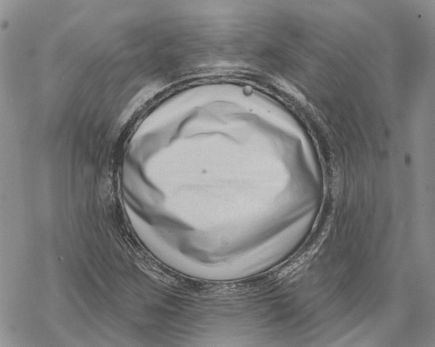 X0000069821259200606091412