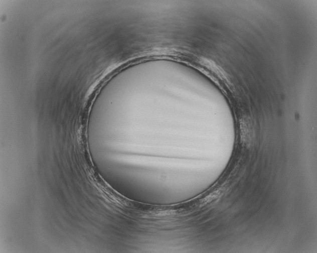 X0000069821260200606091412