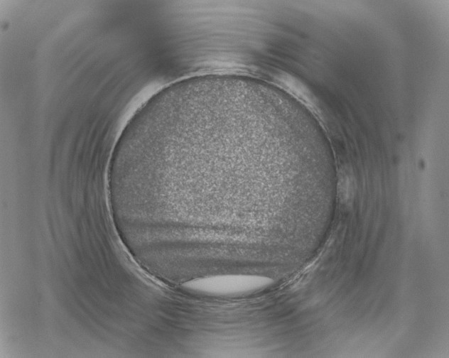 X0000069821283200606091412