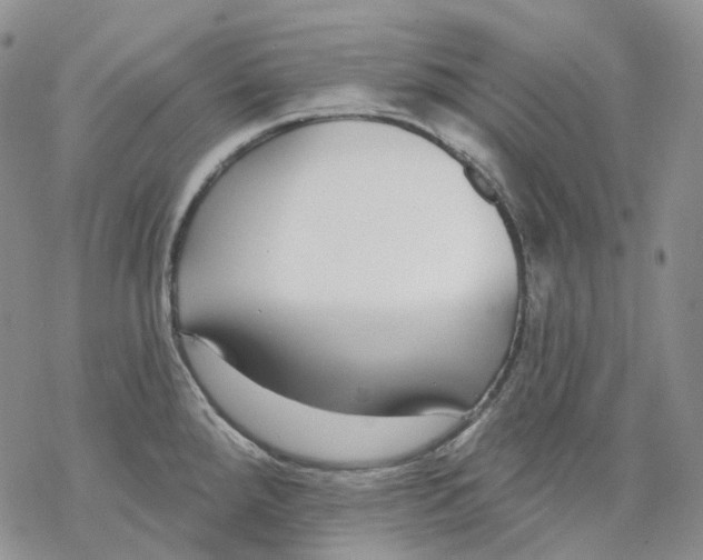 X0000069821288200606091411