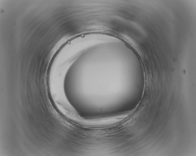 X0000069821291200606091411