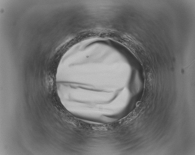 X0000069821302200606091411