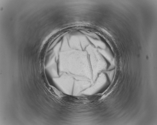 X0000069821310200606091411