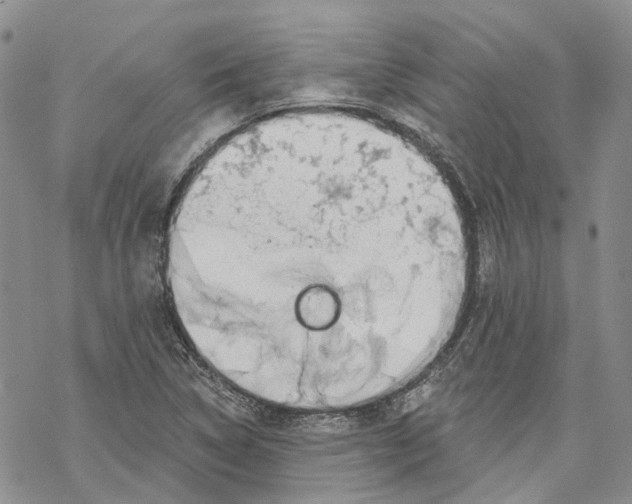 X0000069821314200606091411