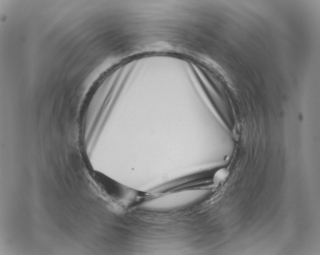 X0000069821326200606091411