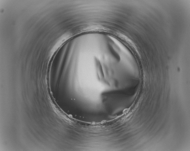 X0000069821330200606091411