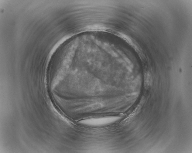 X0000069821331200606091411