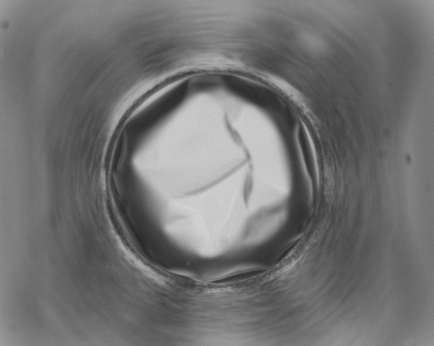 X0000069821335200606091411