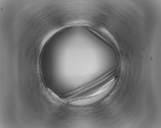 X0000069821336200606091411