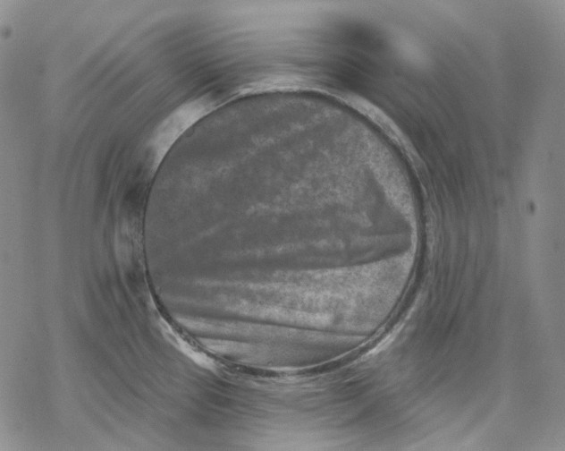 X0000069821337200606091411